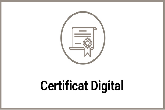 Certificat digital valabilitate 1an + Instruire utilizare