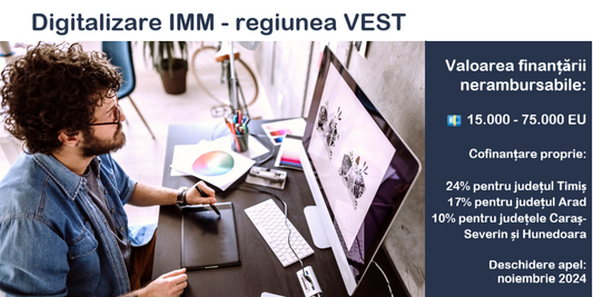 📢 Digitalizare IMM - Regiunea Vest! 📢 - 5.000lei AVANS Consultanță/0 AVANS Audit IT și Studiu Fezabilitate Digitală